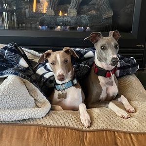 Meet your Posher, Liz